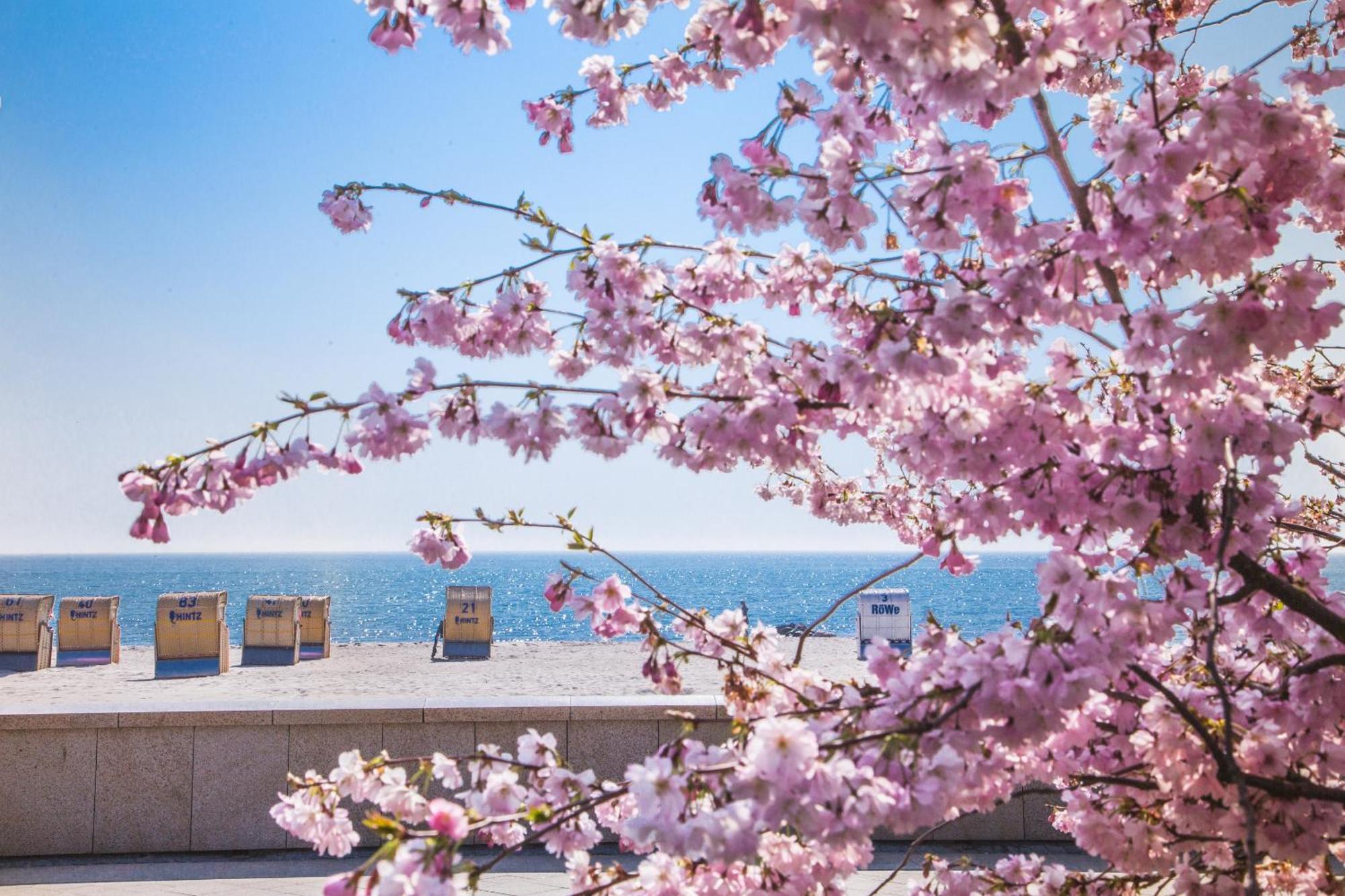 Pink Und Meer - Meerblick, Sauna, Kamin & Whirlpool Baabe Buitenkant foto